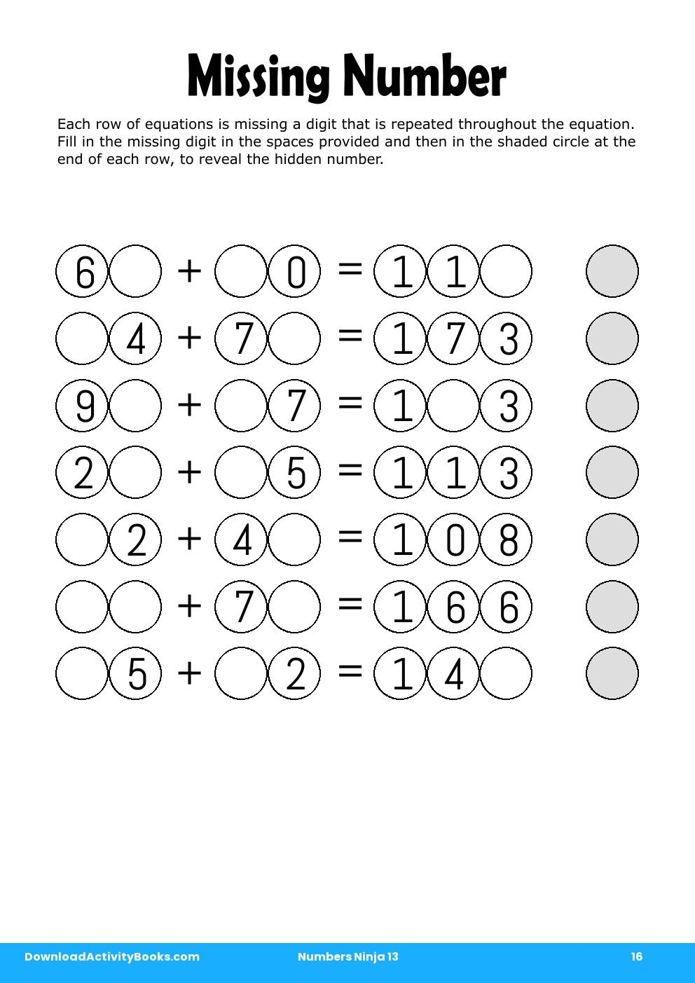 missing number in numbers ninja 13