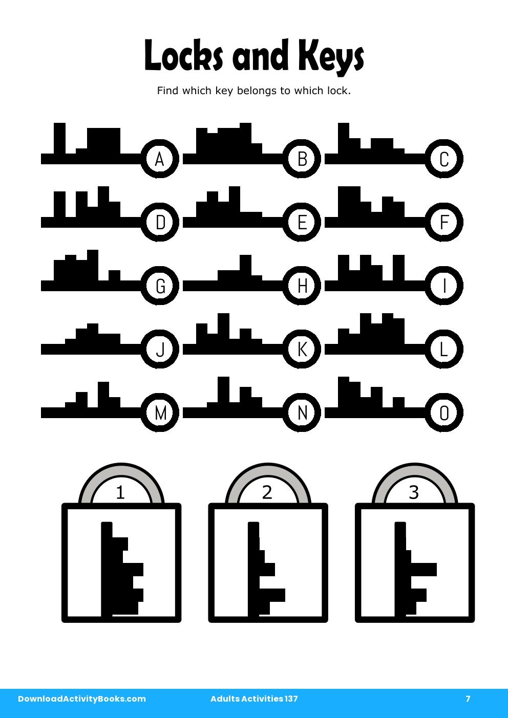 Locks and Keys in Adults Activities 137