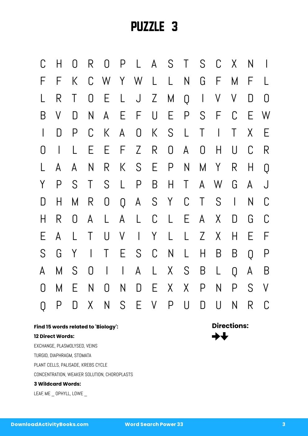 Word Search Power in Word Search Power 33