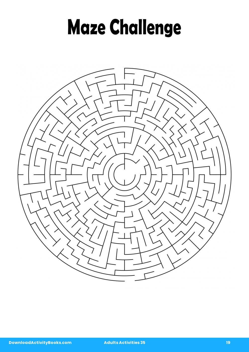 Maze Challenge In Adults Activities 35