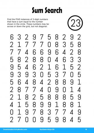 Sum Search #16 in Numbers Ninja 125