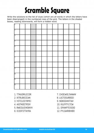 Scramble Square #14 in Adults Activities 131